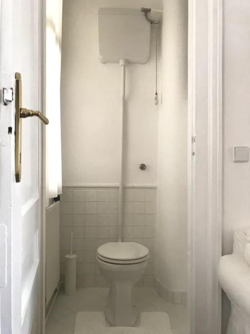 Wiener Altbauwohnung Apartment